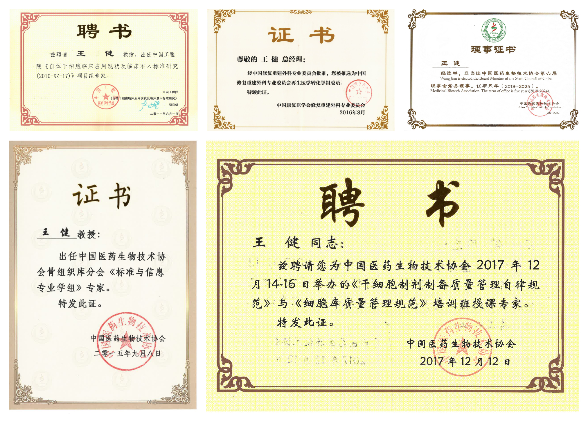 王健教授 王健教授