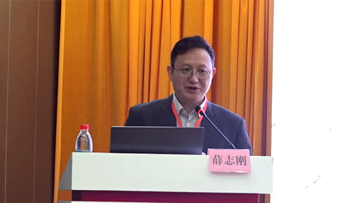 薛志刚教授受邀出席首届湖湘孕产健康高峰论坛 薛志刚教授受邀出席首届湖湘孕产健康高峰论坛