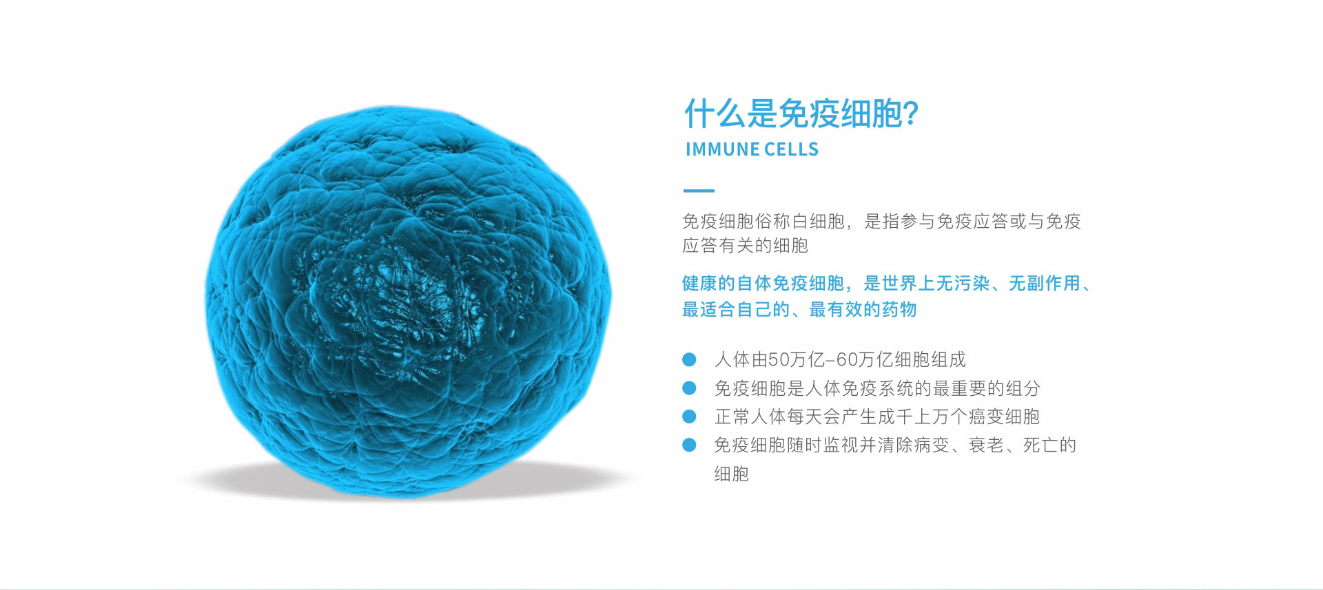 成人免疫细胞储存