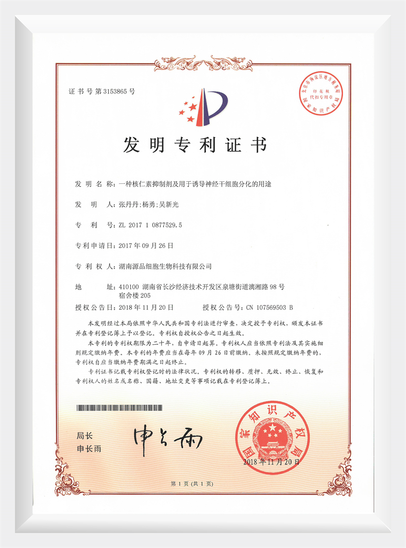 核仁素抑制剂及用于诱导神经干细胞分化的用途